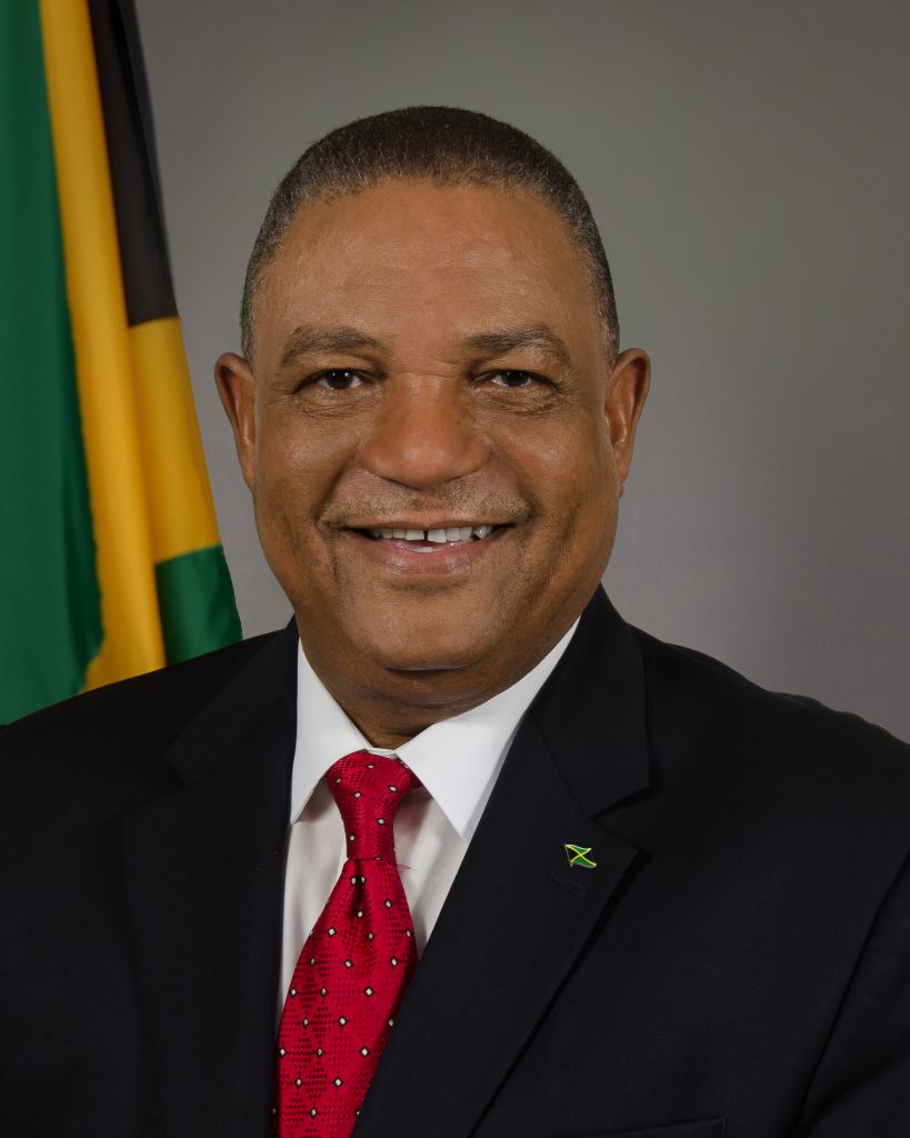 October 2002 – March 2006 Hon. Horace Dalley (PNP) Minister of Labour and Social Security